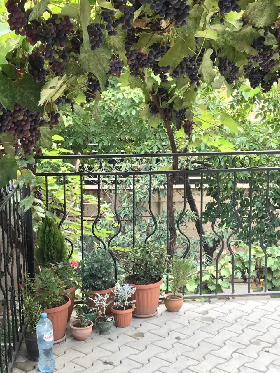 Nino'S Guest House Tbilisi Exterior foto